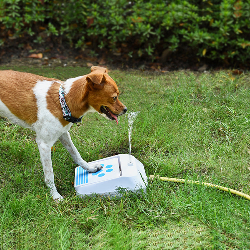 Automatic Dog Drinking Fountain