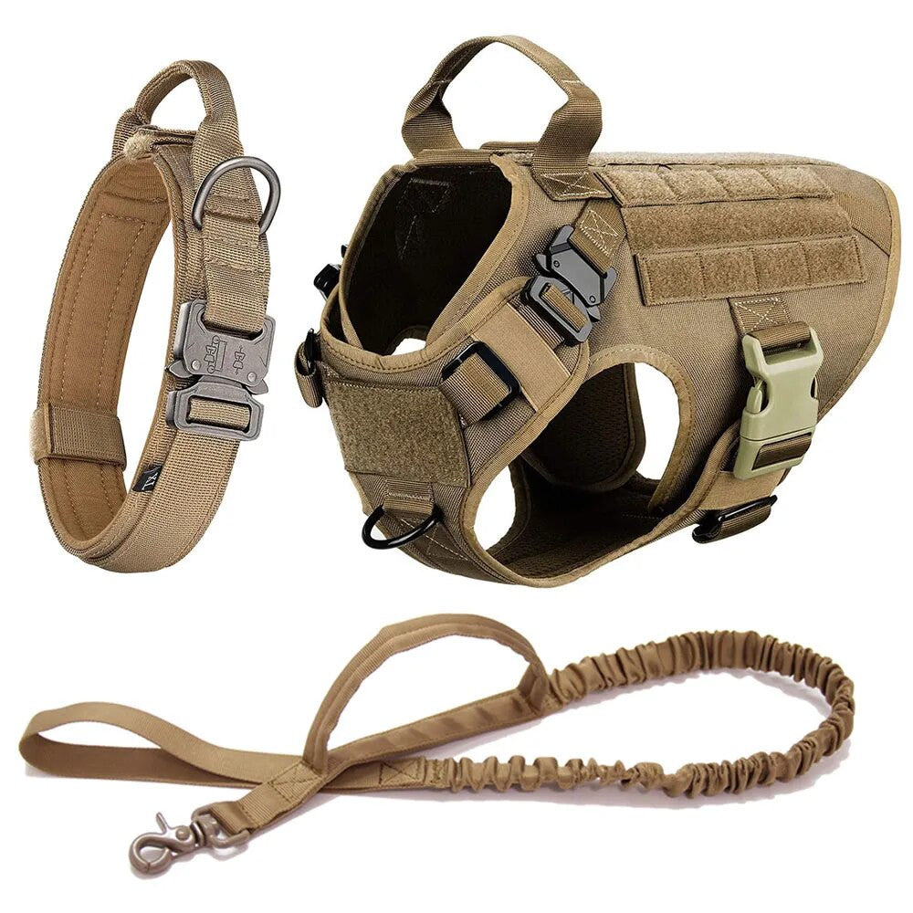 Padded Dog Harness & Lead Set | Safe Walks