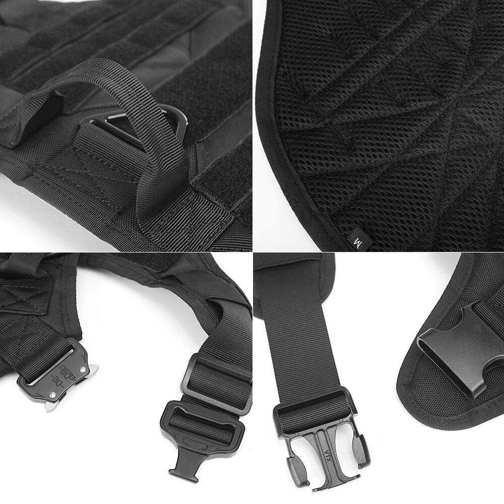 Padded Dog Harness & Lead Set | Safe Walks